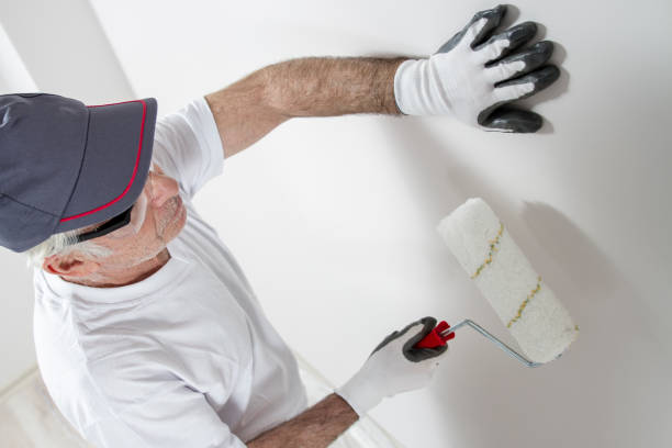 Best Drywall Sanding and Smoothing  in Baldwin, MI